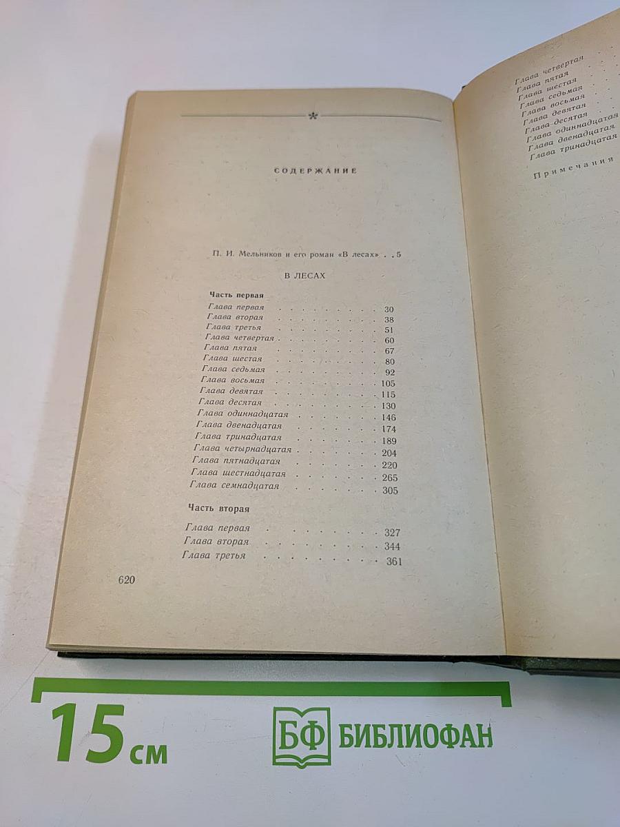 В лесах. Книга первая