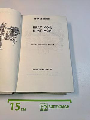Брат мой, враг мой