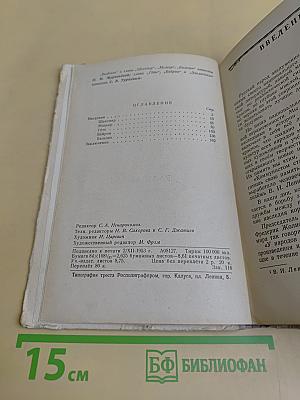 Западноевропейская литература. Пособие для средней школы