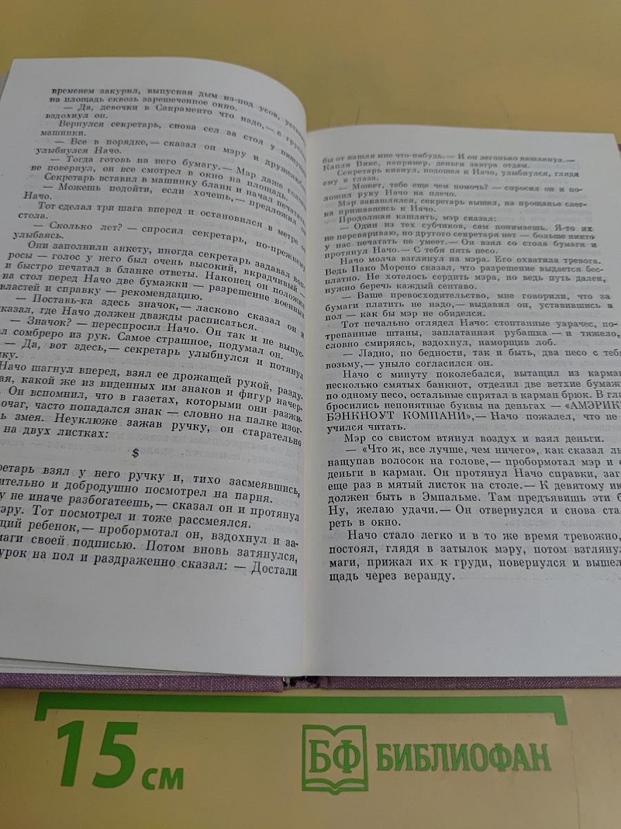 Брасеро