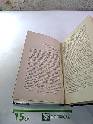 Арена. Политический детектив
