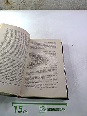 Арена. Политический детектив