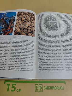 Алтайский край