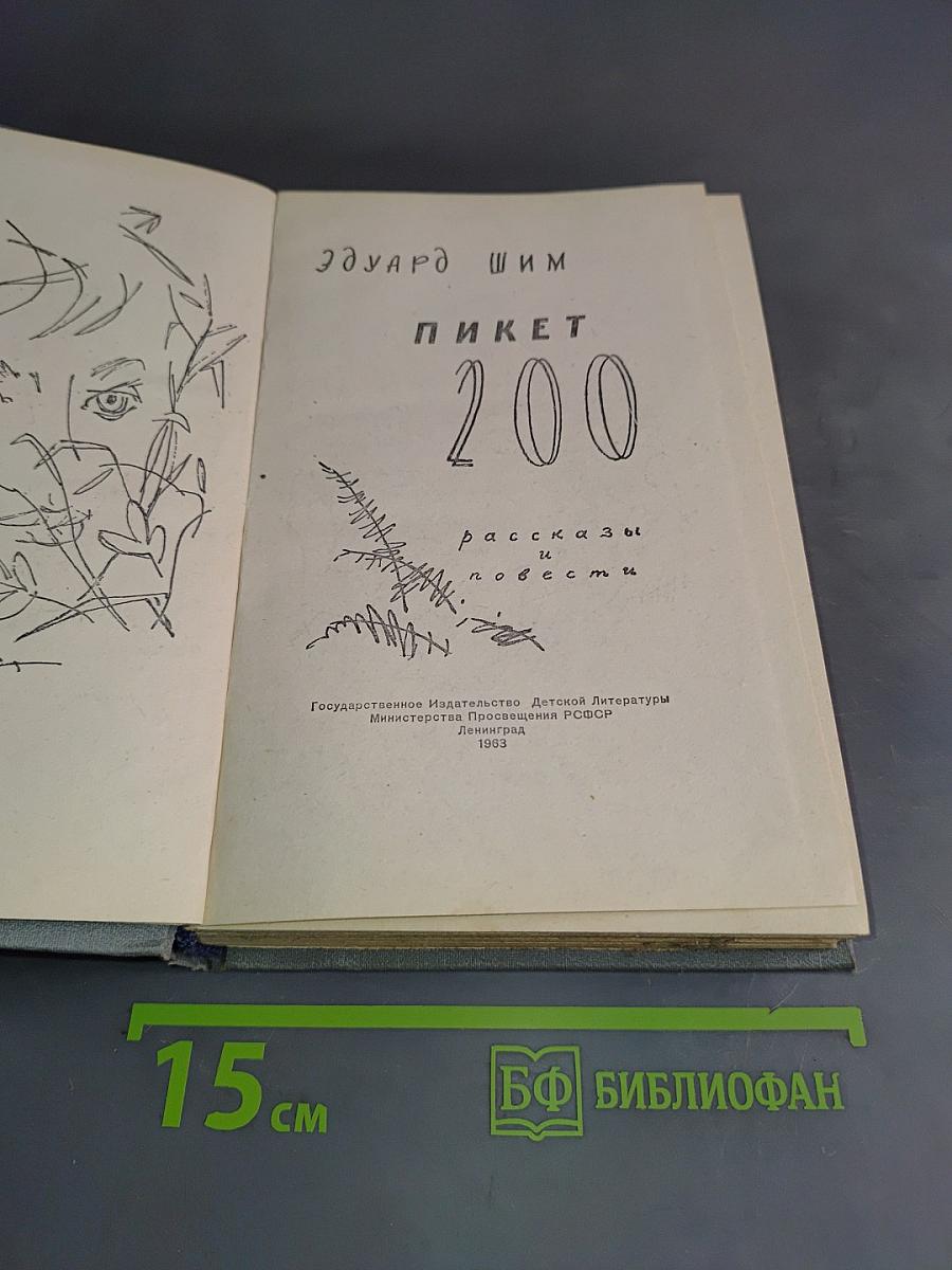 Пикет 200. Рассказы и повести