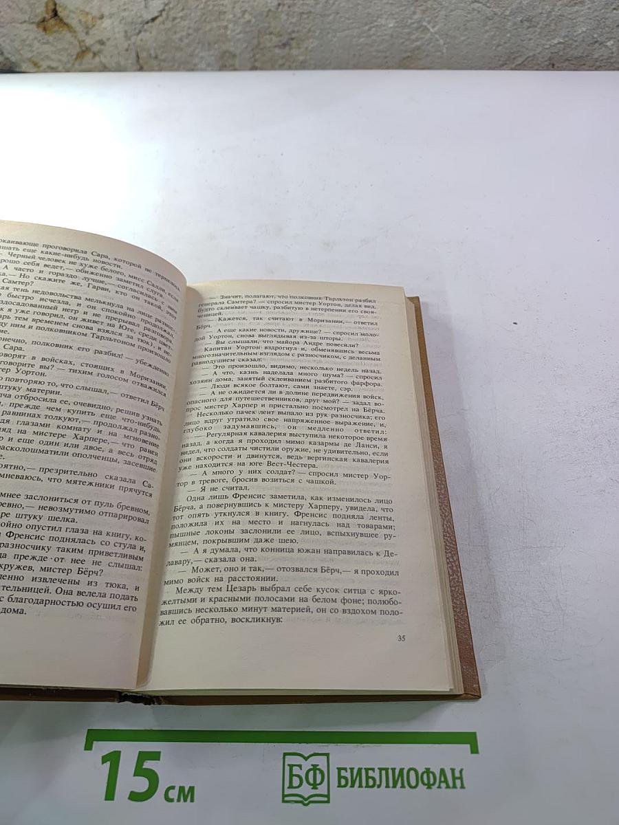 Шпион, или Повесть о нейтральной территории