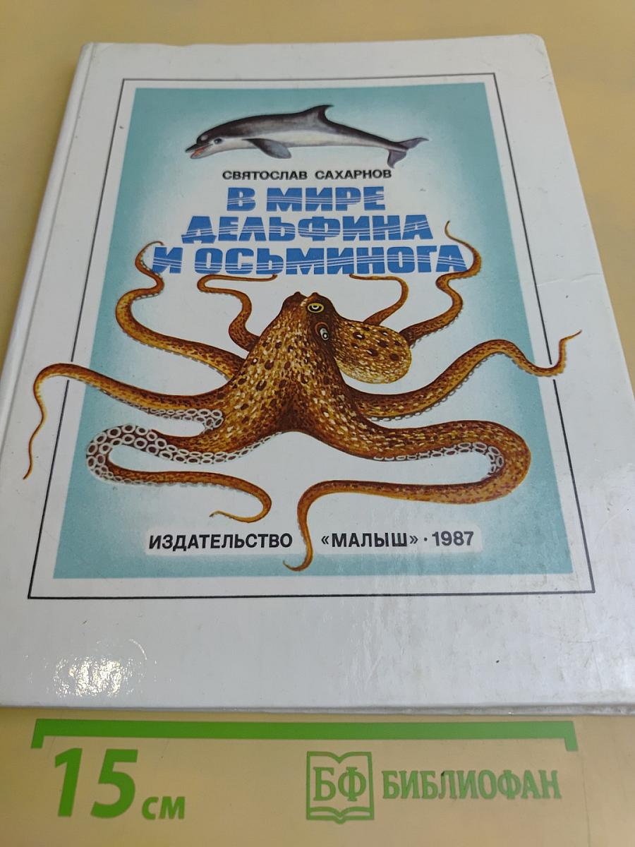 В мире дельфина и осьминога