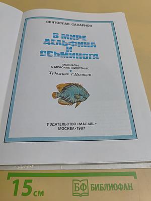 В мире дельфина и осьминога