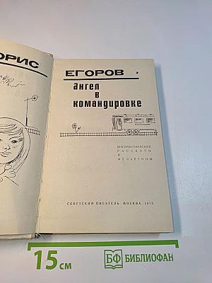 Ангел в командировке