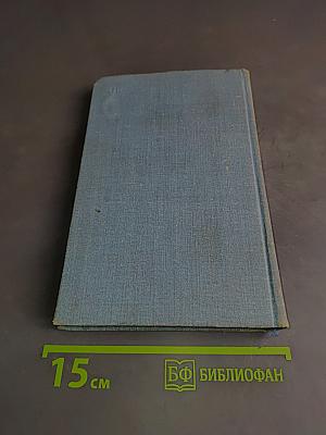 Лебединая стая
