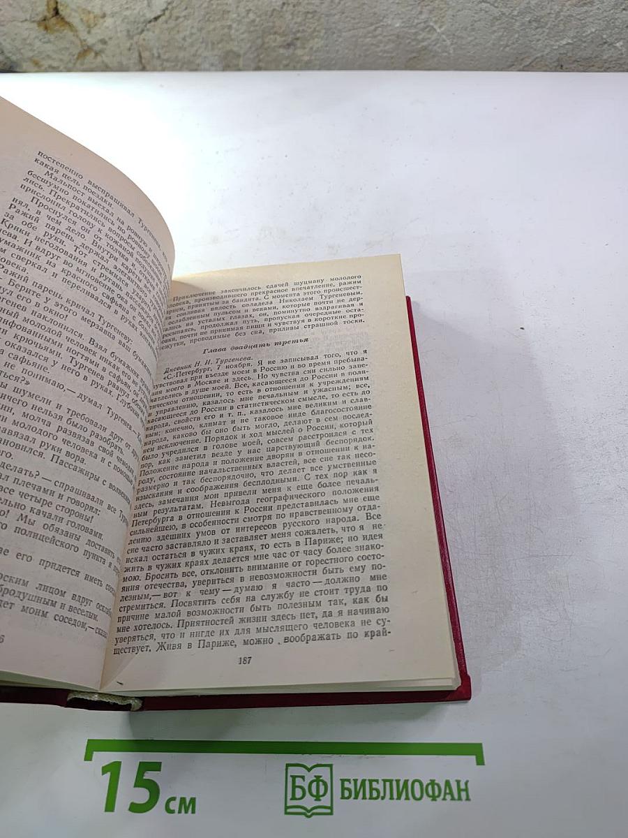 Повесть о братьях Тургеневых. Осуждение Паганини