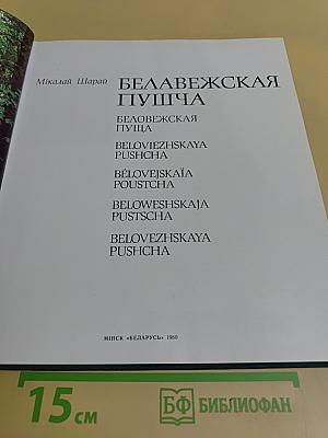 Беловежская пуща
