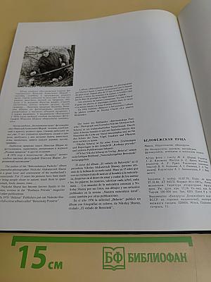 Беловежская пуща