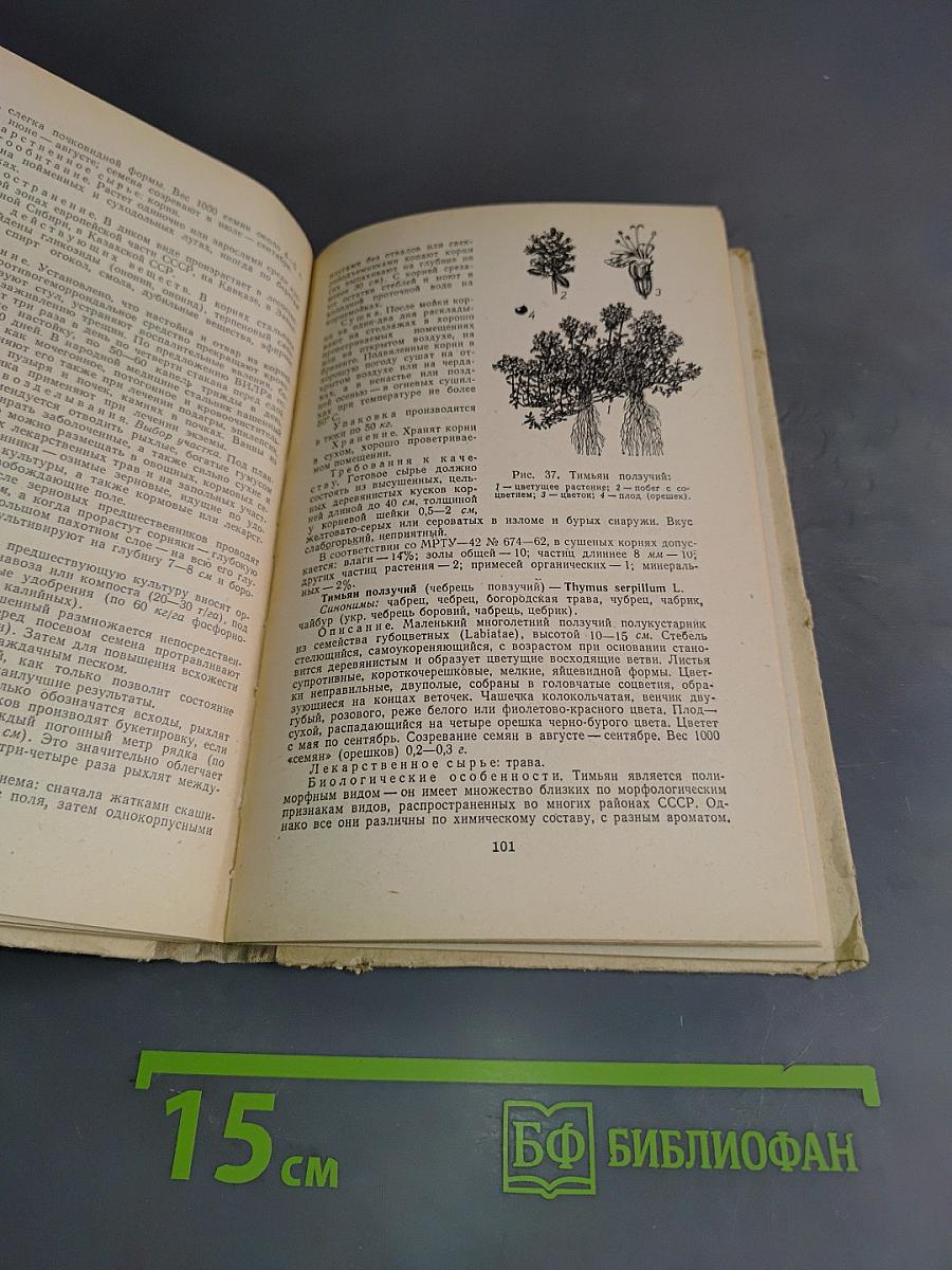 Культивируемые и дикорастущие лекарственные растения. Справочник