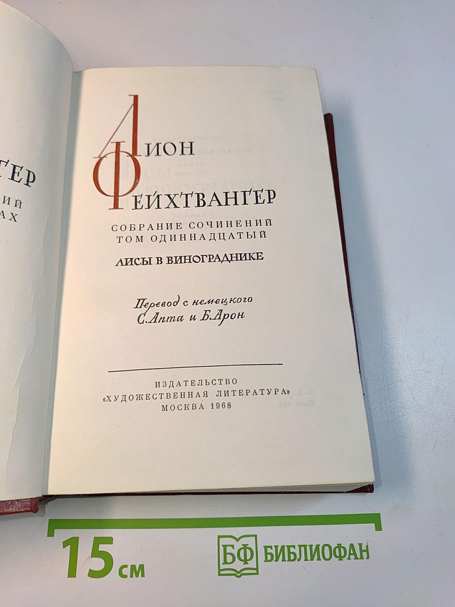 Лисы в винограднике