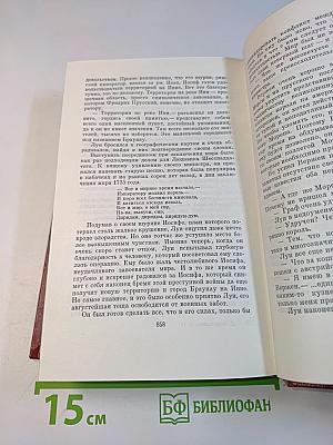 Лисы в винограднике