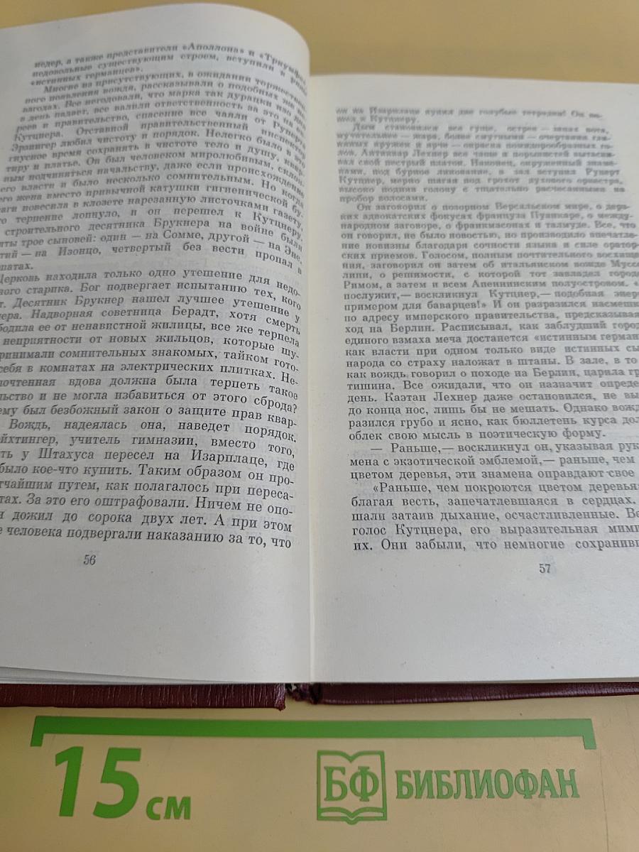Иллион. Семья Опперман. Книга 4-5