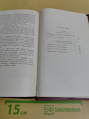 Иллион. Семья Опперман. Книга 4-5