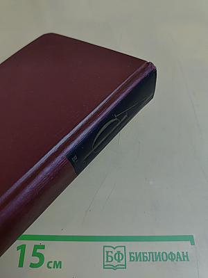 Иллион. Семья Опперман. Книга 4-5