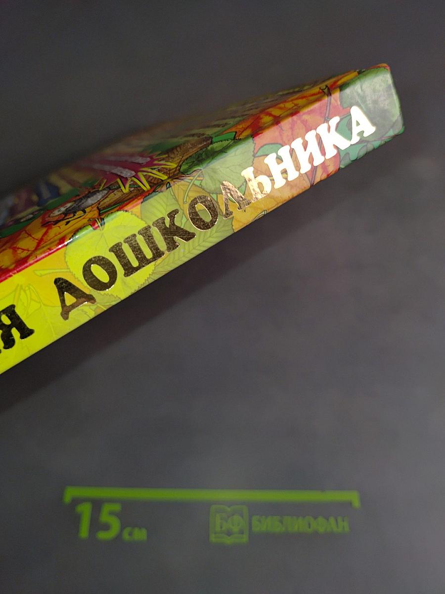 Большая энциклопедия дошкольника