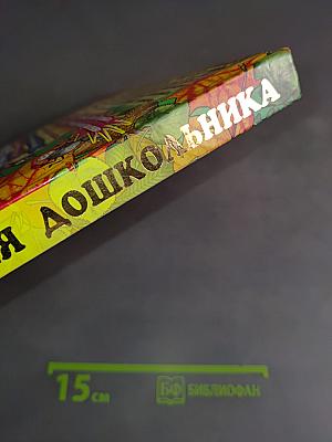Большая энциклопедия дошкольника