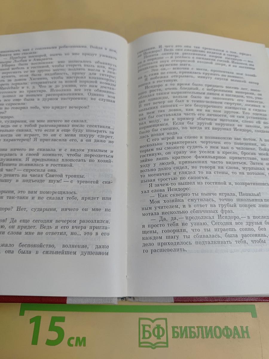 Двор Карла IV