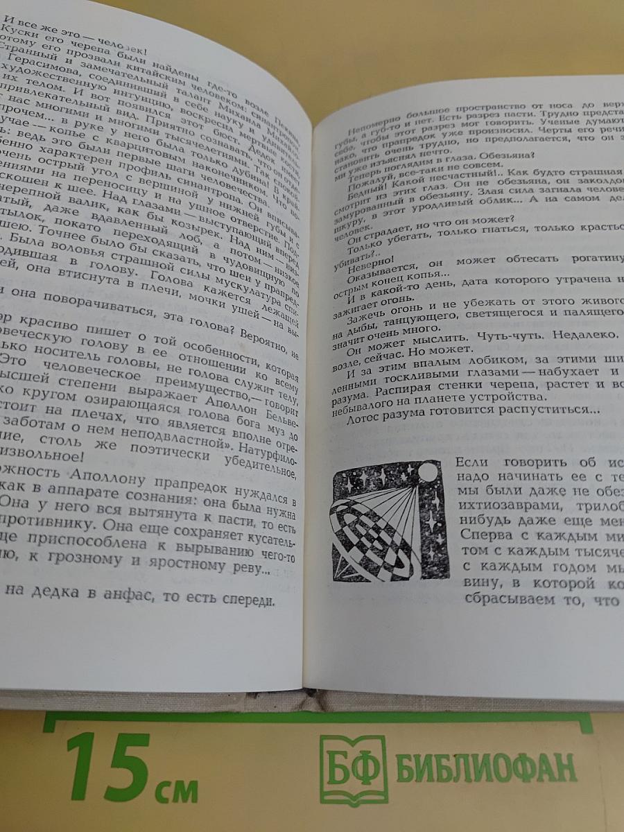 Взбирается разум