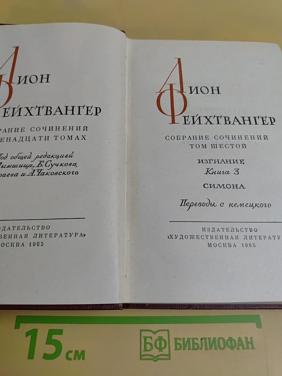 Симона. Книга 3