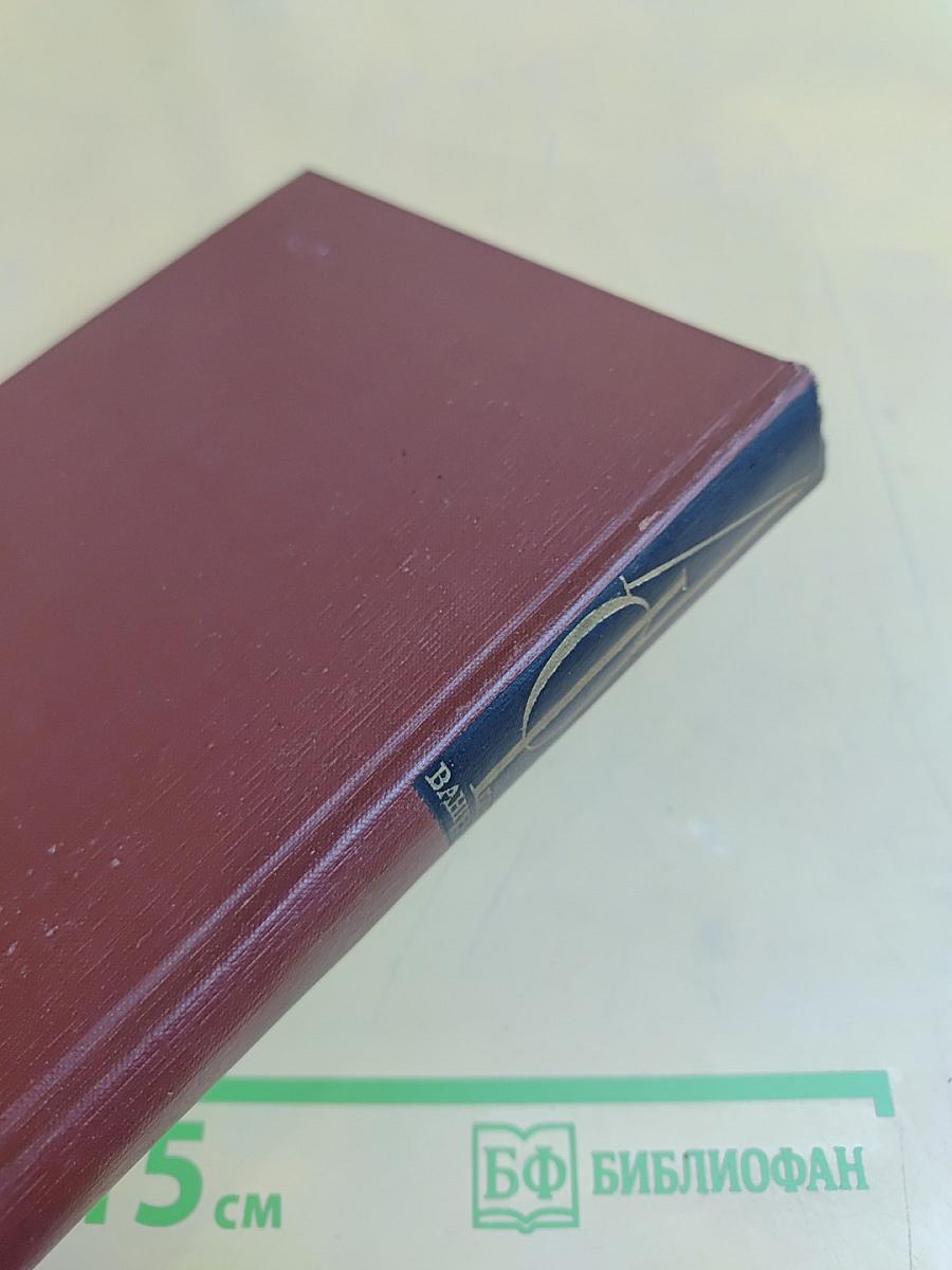 Симона. Книга 3