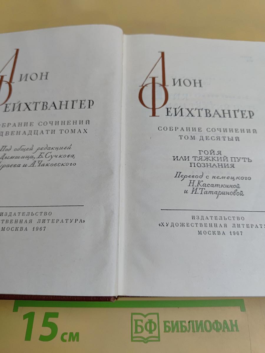 Собрание сочинений. Том десятый. Гойя, или Тяжкий путь познания