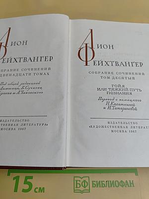 Собрание сочинений. Том десятый. Гойя, или Тяжкий путь познания