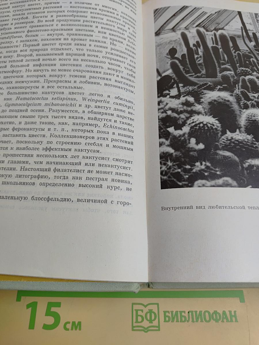Колючее чудо