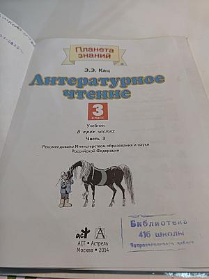 Литературное чтение. 3 класс. Часть 3