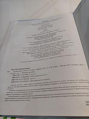 Литературное чтение. 3 класс. Часть 3