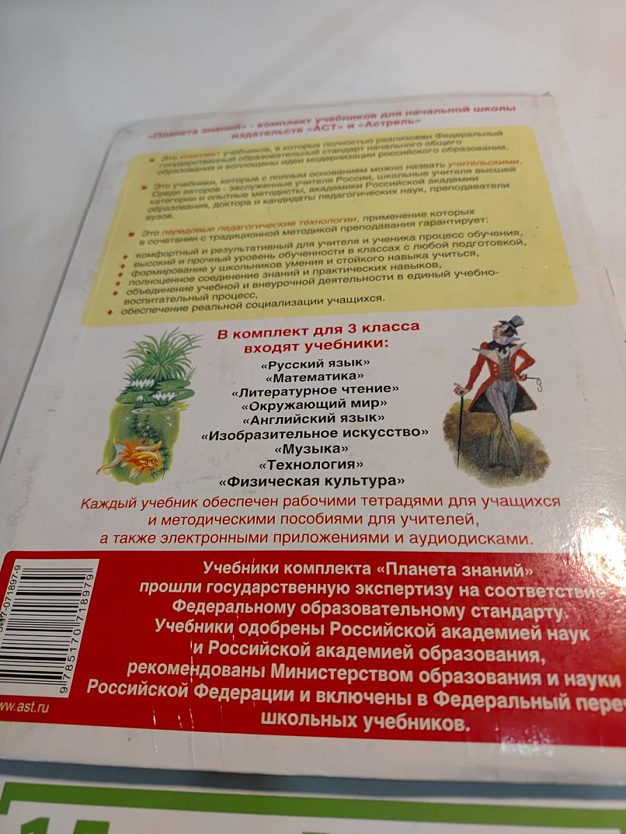 Литературное чтение. 3 класс. Часть 3