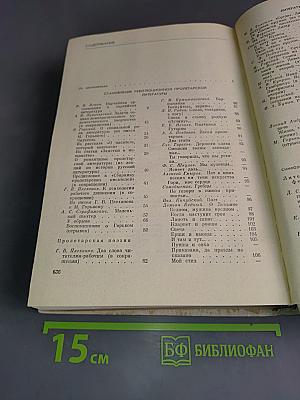 Русская литература XX века. Дооктябрьский период