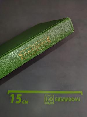 Собрание сочинений. Том 4. Стихотворения, не вошедшие в основное собрание
