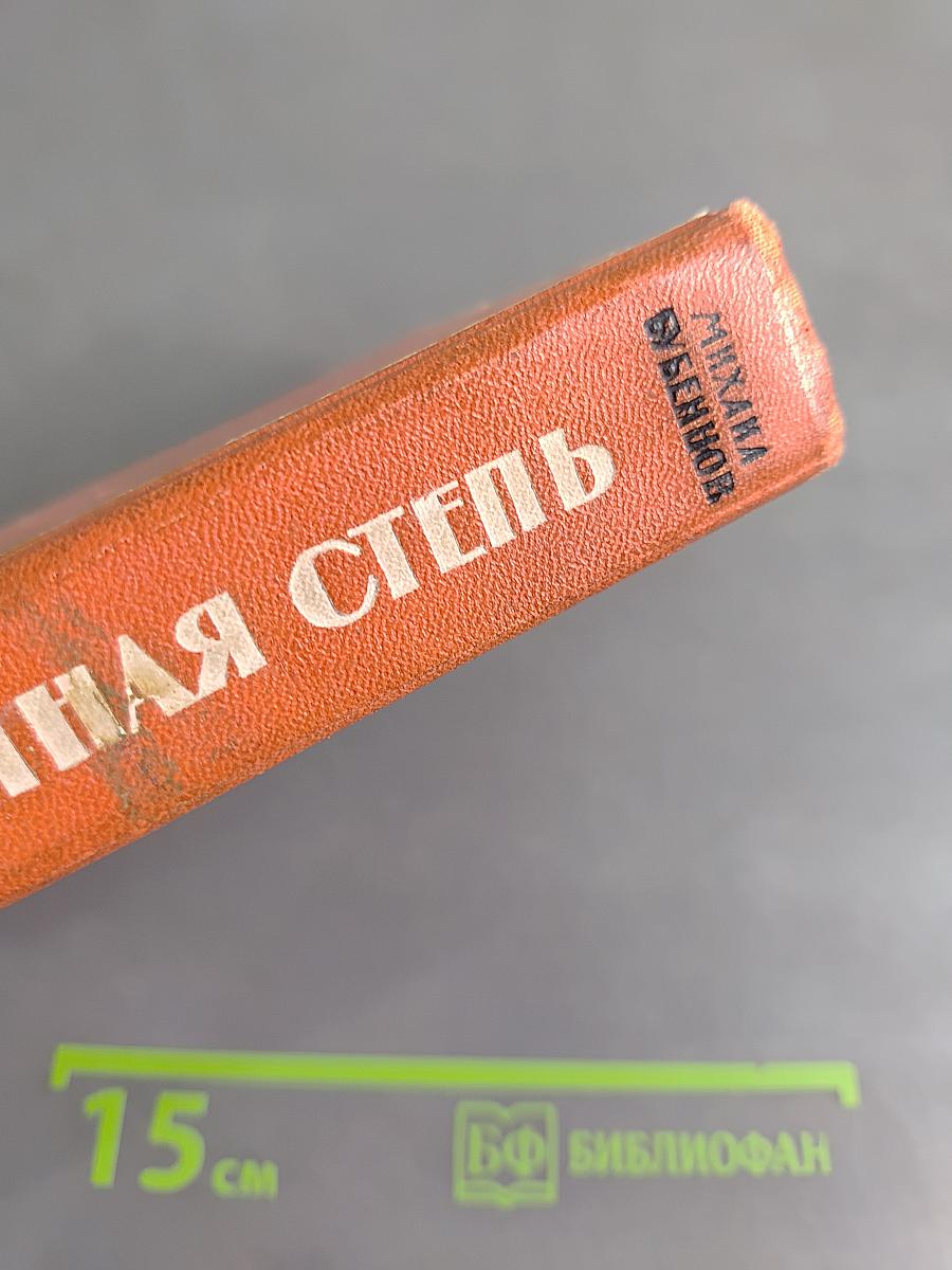 Орлиная степь