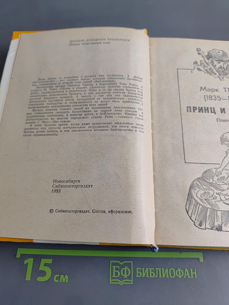 Принц и нищий. Без семьи