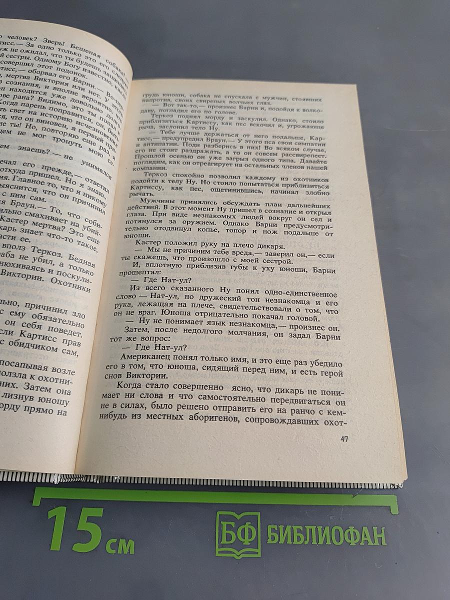 Вечный дикарь. За самой далёкой звездой земля потерянных людей