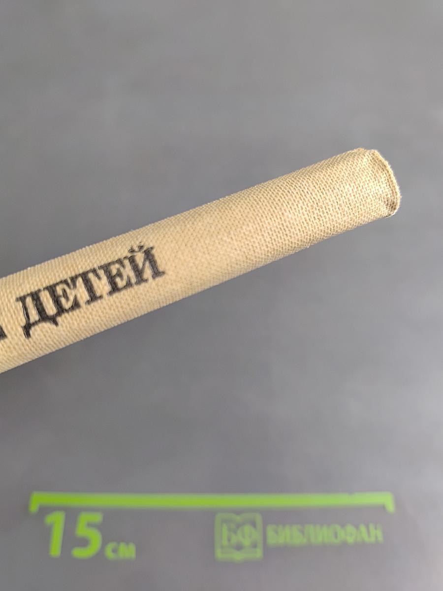 Умственное воспитание детей дошкольного возраста