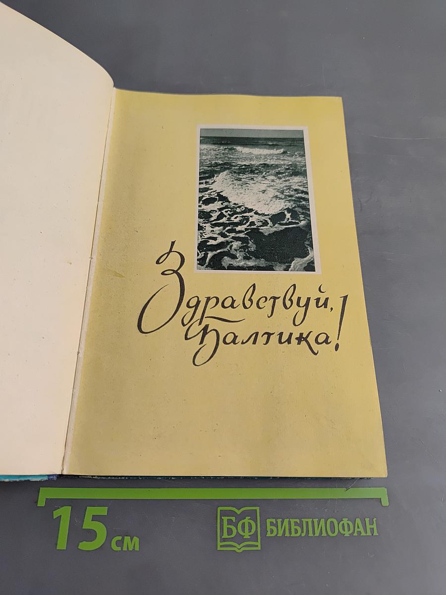 Паланга
