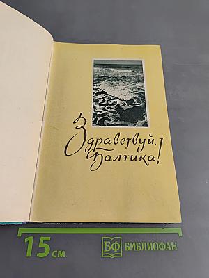 Паланга