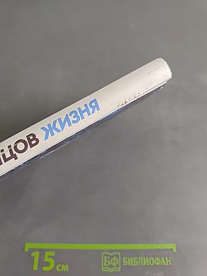 Жизнь