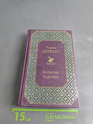 Большие надежды