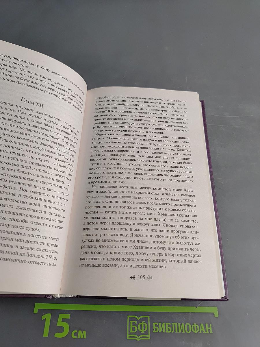 Большие надежды