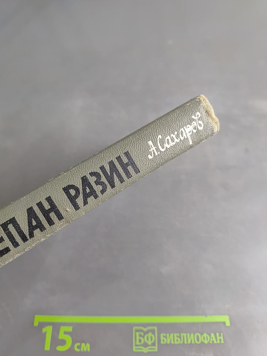 Степан Разин (Хроника XVII века)