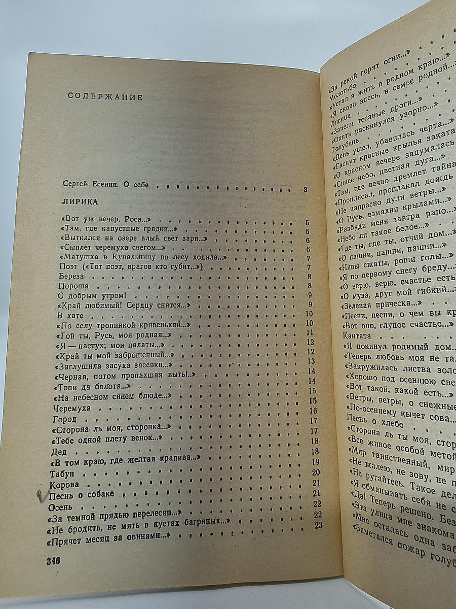 Я более всего весну люблю...