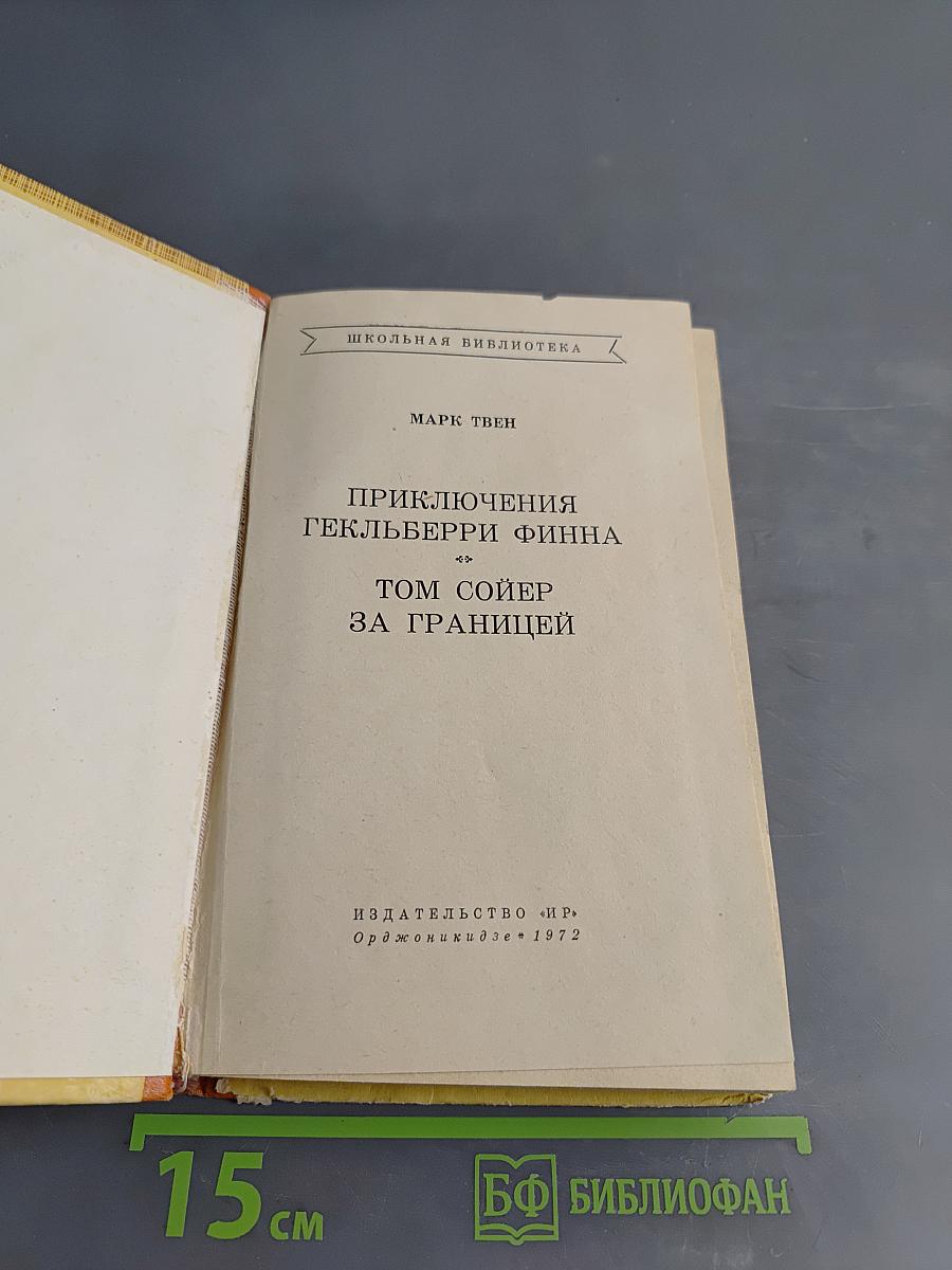 Приключения Гекльберри Финна. Том Сойер за границей