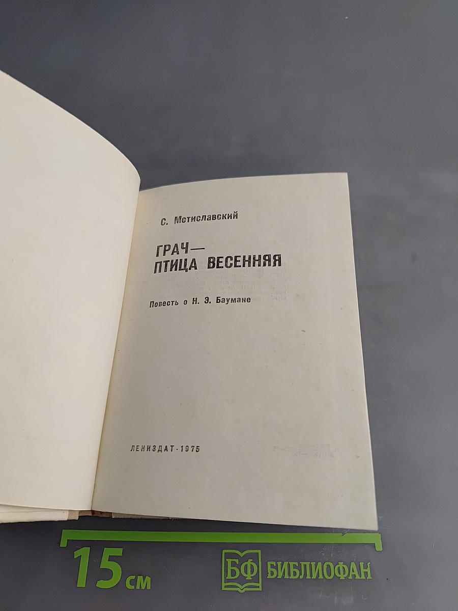 Грач — птица весенняя