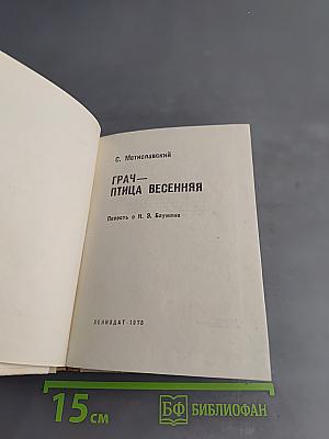 Грач — птица весенняя